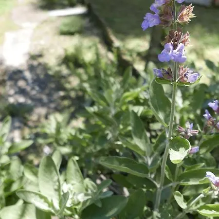 Quater - Tremezzina Feriehus Mezzegra