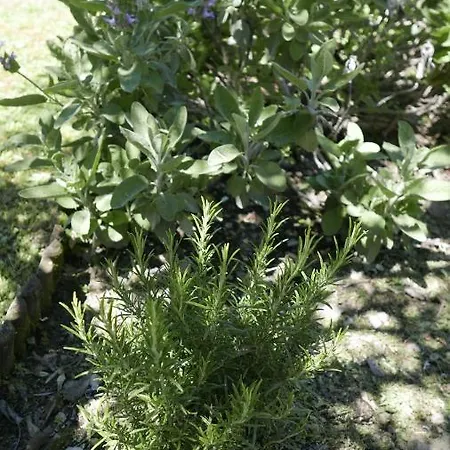 Quater - Tremezzina *