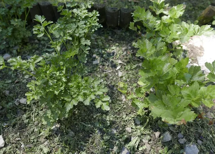 度假居 Quater - Tremezzina *