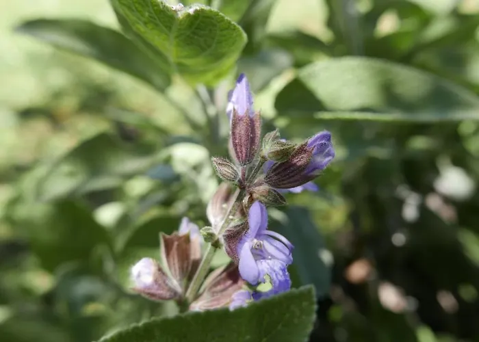 度假居 Quater - Tremezzina