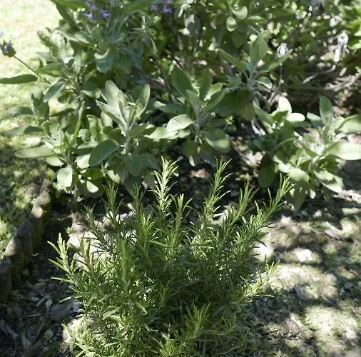 Quater - Tremezzina *